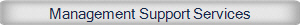 Management Support Services