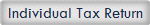 Individual Tax Return