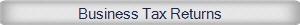 Business Tax Returns